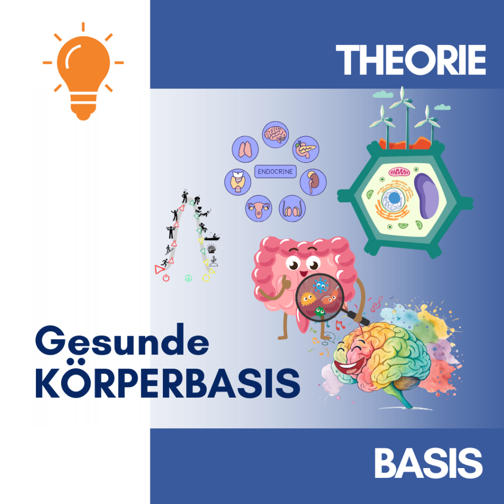 GS-Gesunde Körperbasis1-Theorie-Wunderakademie - Fortbildung