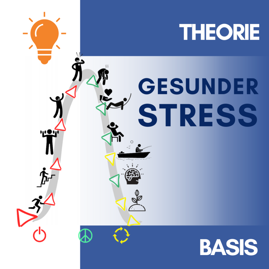 WA-Gesunder Stress - Basis - Theorie