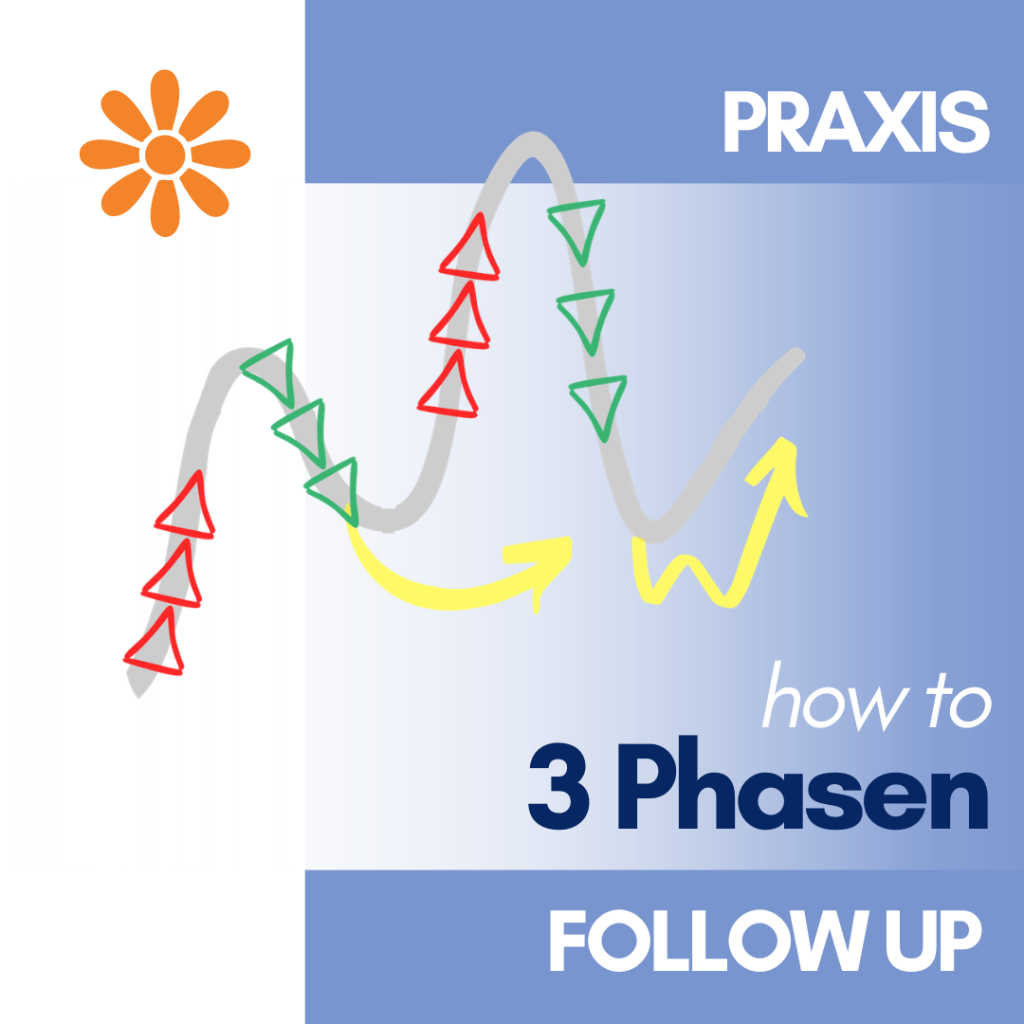 Praxis - 3Phasen - Gesunder Stress - Wunderakademie