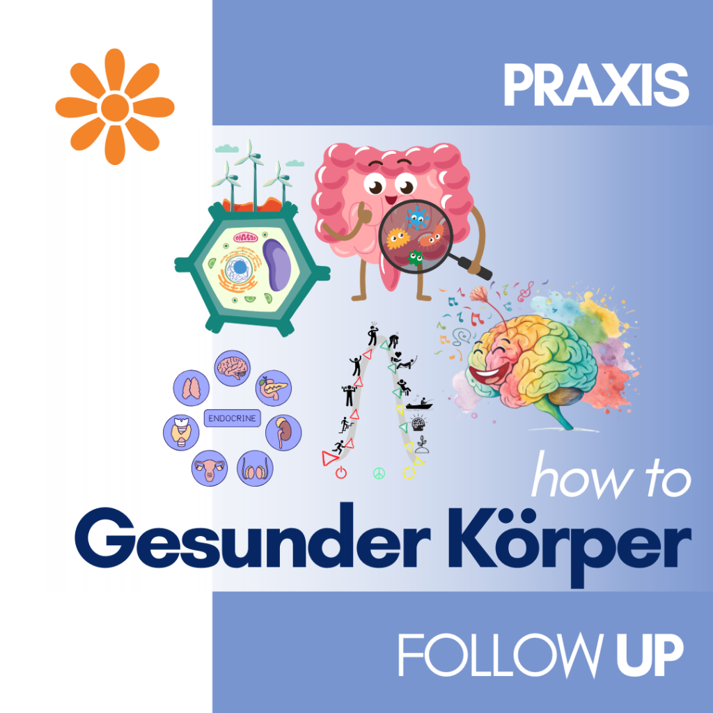 Praxis GESUNDER KÖRPER - Wunderakademie