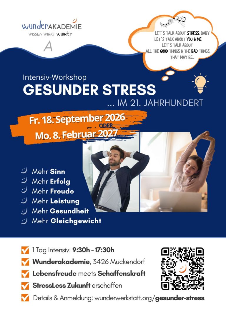 Gesunder Stress Flyer