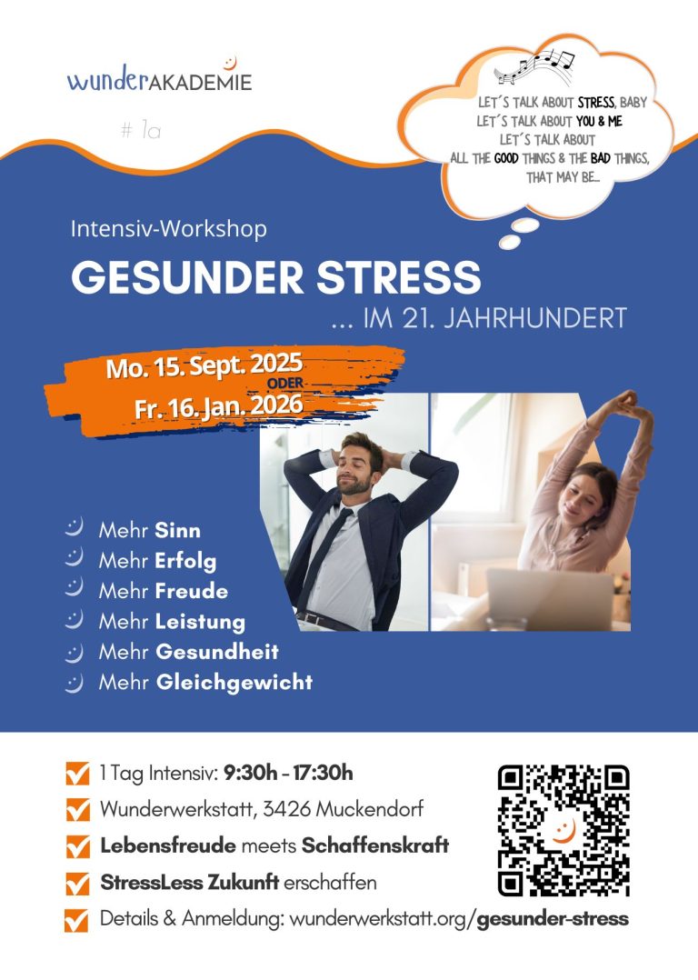 Infoflyer_Gesunder Stress im 21. Jahrhundert - Erfolgsfaktor
