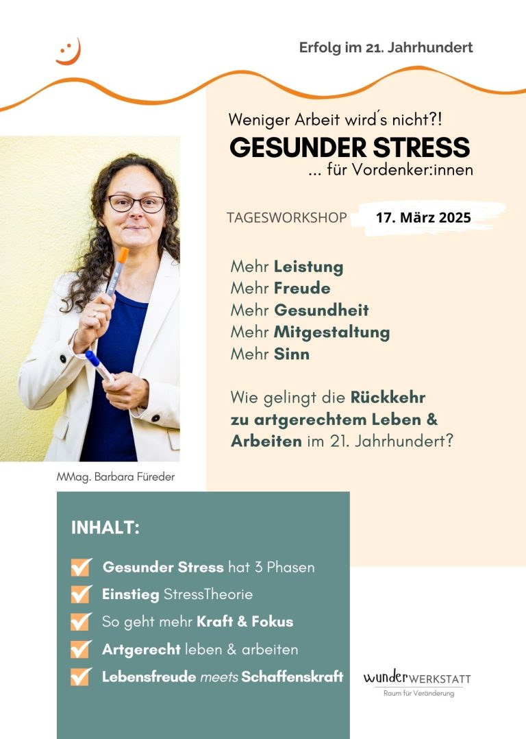 Wunderwerkstatt-Gesunder Stress- ERfolgsfaktor-21.Jahrhundert-Kompaktworkshop_Flyer-Seite1