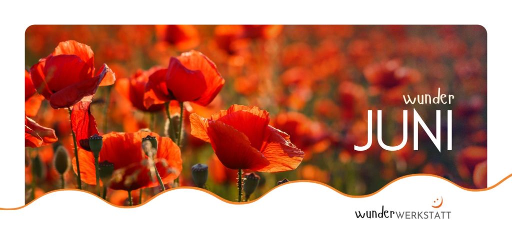 Header Juni_Wundermosaik