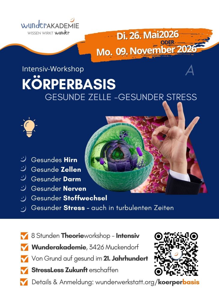 Flyer Körperbasis